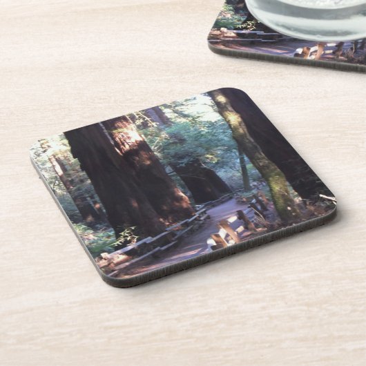 Muirの森 コースター (左側)