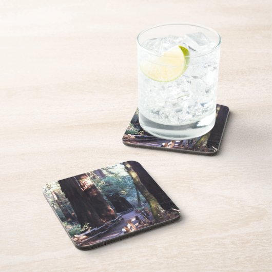 Muirの森 コースター (右側)