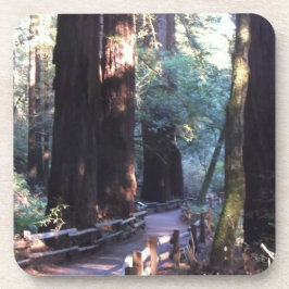 Muirの森 コースター