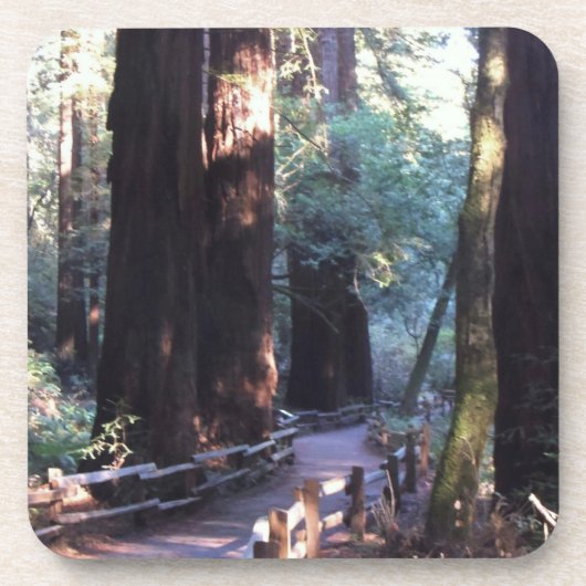 Muirの森 コースター (正面)