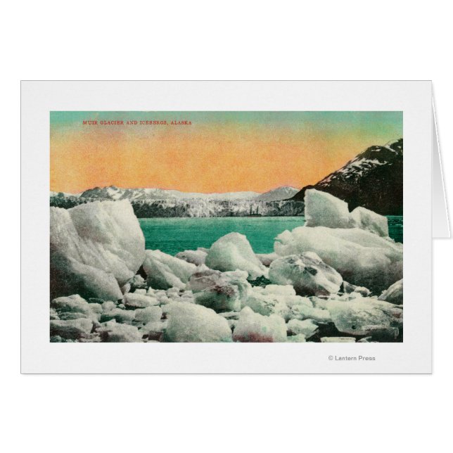 Muir GlacierとIcebergs(アラスカ#1State) (正面横)