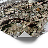 Muir Pass Panorama from Above - John Muir Trail ポスター (角)