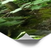 Muir Woods Bridge I ポスター (角)