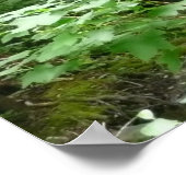 Muir Woods Bridge I ポスター (角)
