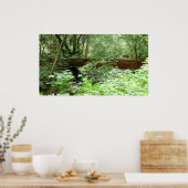 Muir Woods Bridge I ポスター (キッチン)