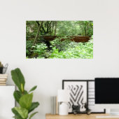 Muir Woods Bridge I ポスター (ホームオフィス)