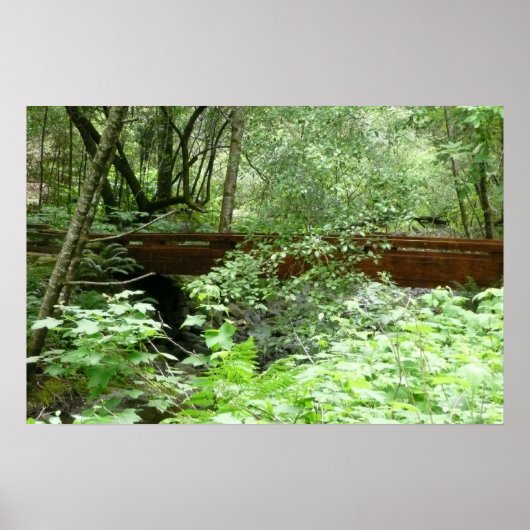 Muir Woods Bridge I ポスター (正面)