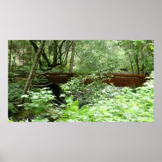 Muir Woods Bridge I ポスター (正面)