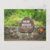 Muir Woods National Monument – California Redwood  ポストカード (正面)
