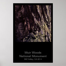 Muir Woods National Monument Color (Dark) ポスター