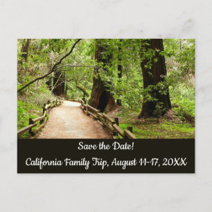 Muir Woods Path II自然保存日 ポストカード