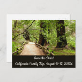 Muir Woods Path II自然保存日 ポストカード (正面/裏面)