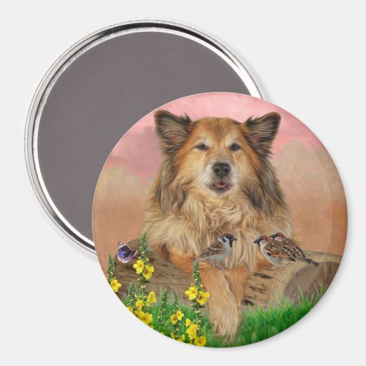 Muismat マグネット (正面/裏面)