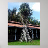 muitas pernas ポスター (正面)