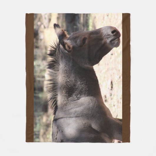 Muleのクローズアップ – アリゾナ フリースブランケット (正面)