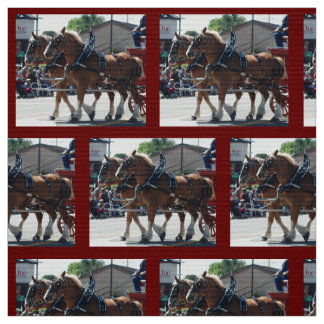 Mule Days 2018年司教 ファブリック