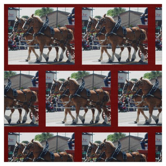 Mule Days 2018年司教 ファブリック (見本)