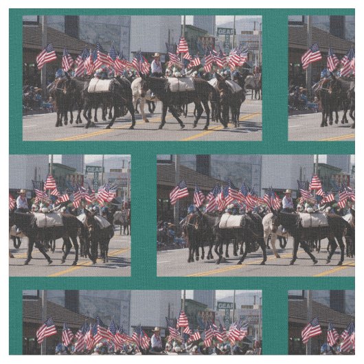 Mule Days 2018年司教 ファブリック (クローズアップ)