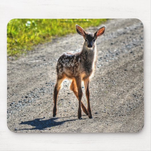 Mule Deer Fawn Baby Animal Wildlifeの写真 マウスパッド (正面)