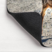 Mule Deer Fawn Baby Animal Wildlifeの写真 マウスパッド (コーナー)