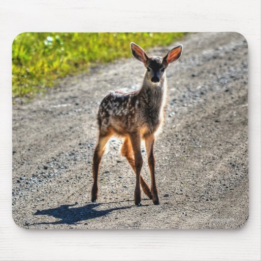 Mule Deer Fawn Baby Animal Wildlifeの写真 マウスパッド (正面)