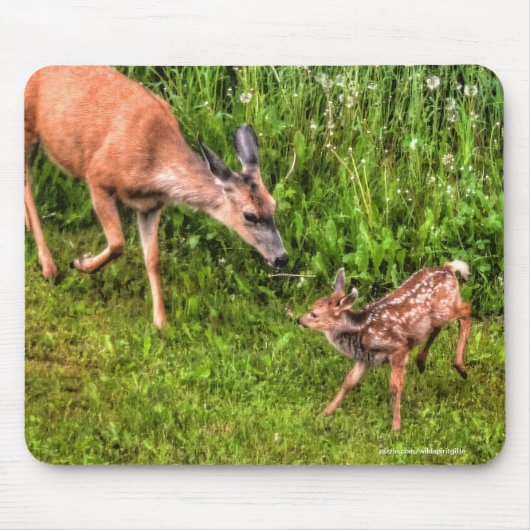 Mule Deer Fawn & Mother Wildlife写真 マウスパッド (正面)