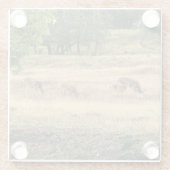 Mule Deer in a Field，オレゴン，ジョセフ ガラスコースター (裏面)