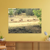 Mule Deer in a Field，オレゴン，ジョセフ キャンバスプリント (インサイチュ (リビング))