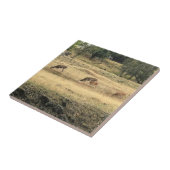 Mule Deer in a Field,オレゴン,ジョセフ タイル (側面)