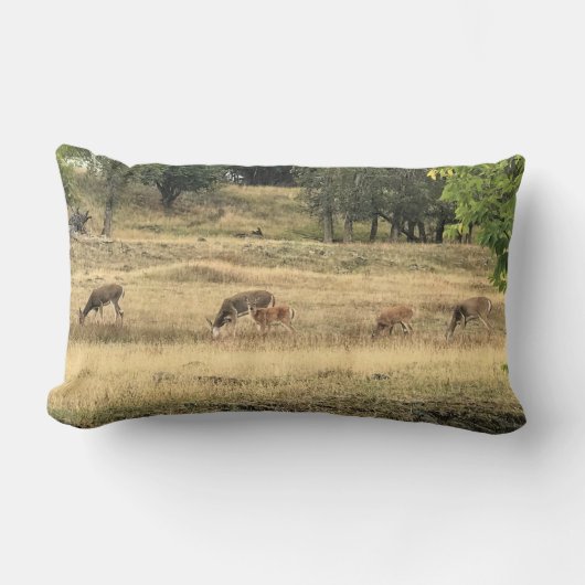 Mule Deer in a Field,オレゴン,ジョセフ ランバークッション (正面)