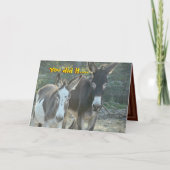 Mules Anniversaryカード – 任意カスタマイズの大事な行事 カード (正面)