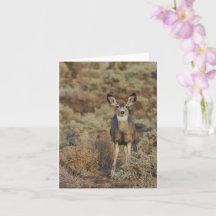 Muley in the Sage - 4" x 5.6" ノートカード