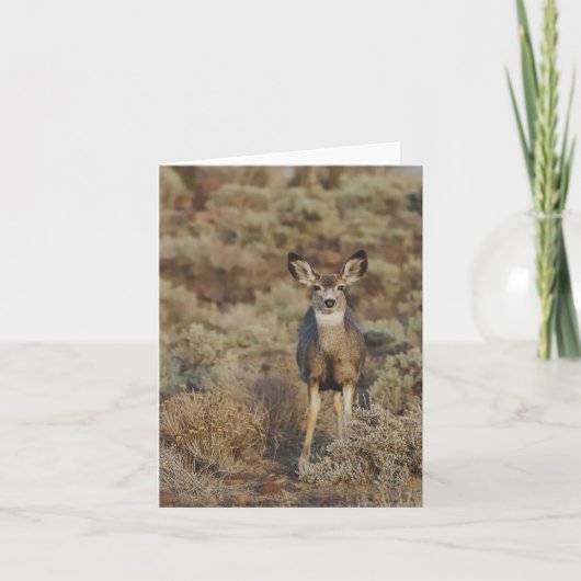 Muley in the Sage - 4" x 5.6" Notecard カード (正面)