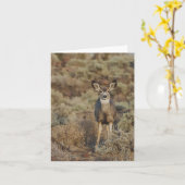 Muley in the Sage - 4" x 5.6" Notecard カード (黄色い花)