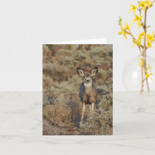 Muley in the Sage - 4" x 5.6" Notecard カード (黄色い花)