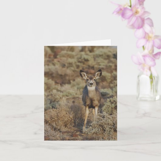 Muley in the Sage - 4" x 5.6" Notecard カード (蘭)
