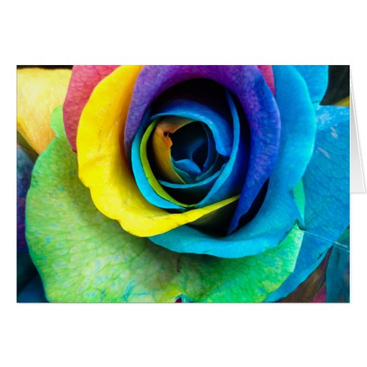 Mulit色SnapDaddyによって、個人化なできます上がりました! (正面横)