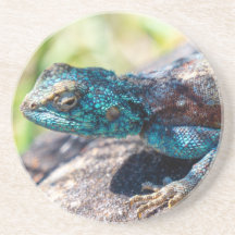 Multi-Colored Lizard Coaster