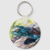 Multi-Colored Lizard Keychain キーホルダー (正面)