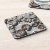 Multi fossil ammonites from the Lower Lias コースター (左側)