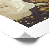 Multi Roses Floral Garden Photo Art Print Poster ポスター (角)