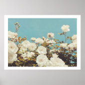 Multi Roses Floral Garden Photo Art Print Poster ポスター (正面)