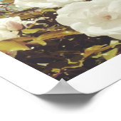 Multi Roses Floral Garden Photo Art Print Poster ポスター (角)