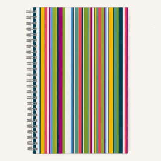 Multicolour Vertical Striped notebook  ノートブック