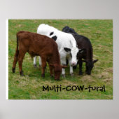 Multicultural? We're Multi-COW-tural! ポスター (正面)