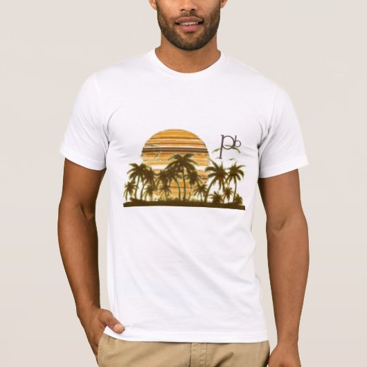 MultiStripSunset Tシャツ (正面)