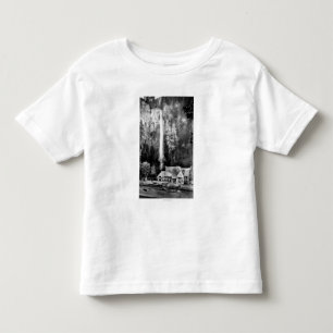Multnomahの滝およびロッジの写真 トドラーTシャツ