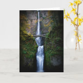 Multnomahはカード下ります カード (黄色い花)