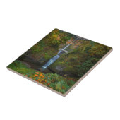 Multnomahは峡谷、オレゴン|コロンビア川の下ります タイル (側面)