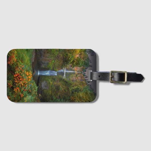 Multnomahは峡谷、オレゴン|コロンビア川の下ります ラゲッジタグ (正面横)